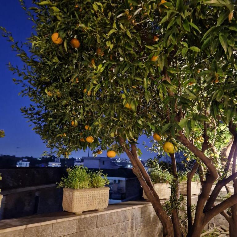 Fuga a Napoli Apartment - Appartamento con Terrazza - 50