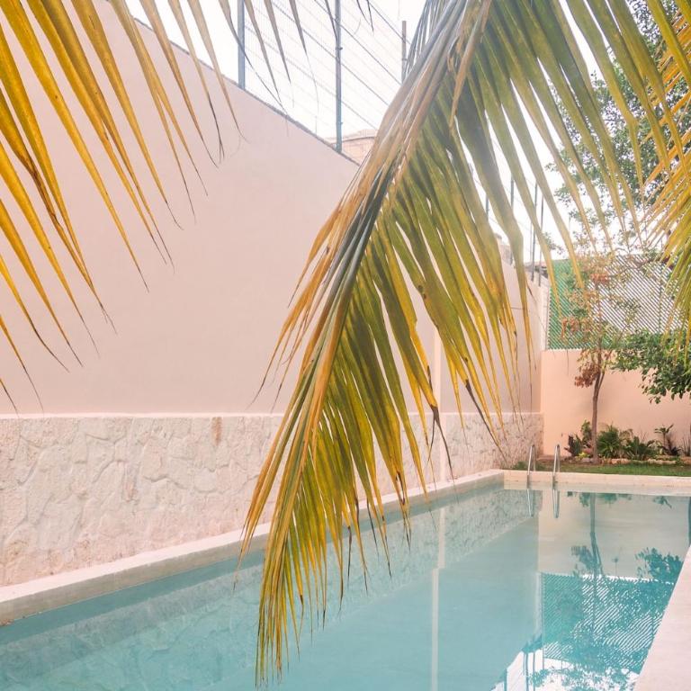 Beautiful Loft near the Beach - Apartamento de 1 dormitorio - 16