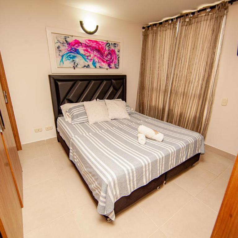 Apartamentos en el Sur de Cali, parqueadero propio, piscina, wifi - Apartamento de 3 dormitorios - 25