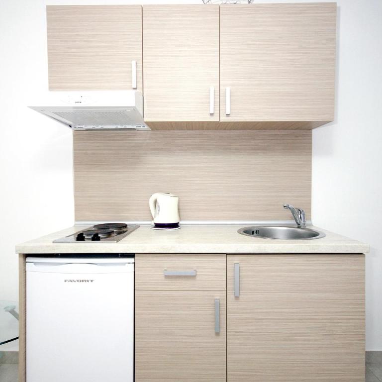 Apartments Pavlovic - Studio Apartment - 8