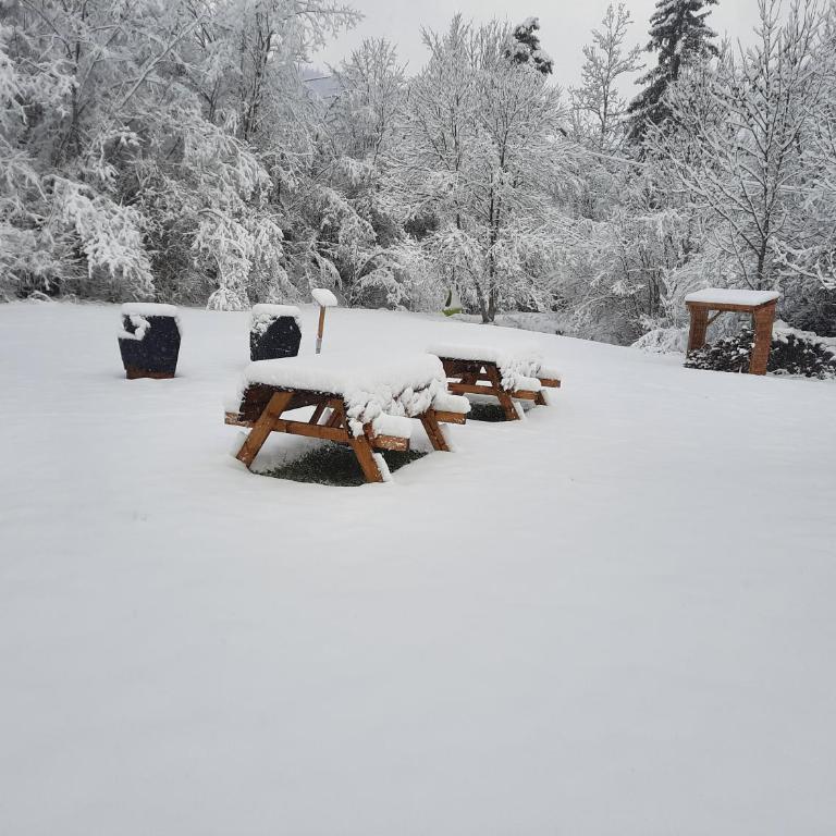 Gîte Roche Pointue - Jacuzzi - Ski - Domaine - Appartamento - 19