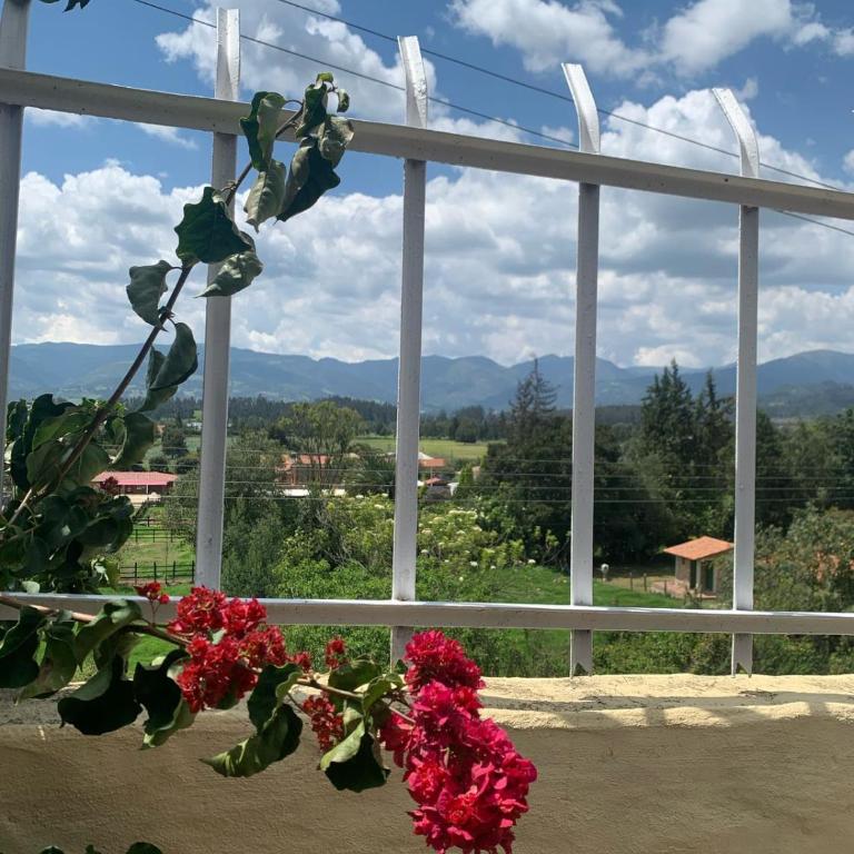 Villa Elena - Casa de 4 dormitorios - 2