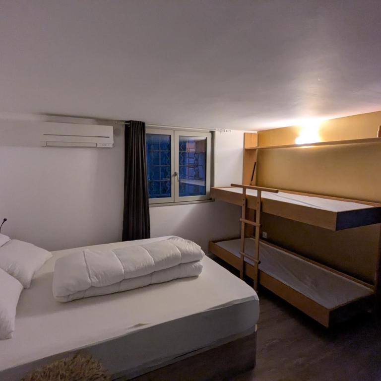 La cigale et la fourmi - Appartement 1 Chambre avec Jardin - 5
