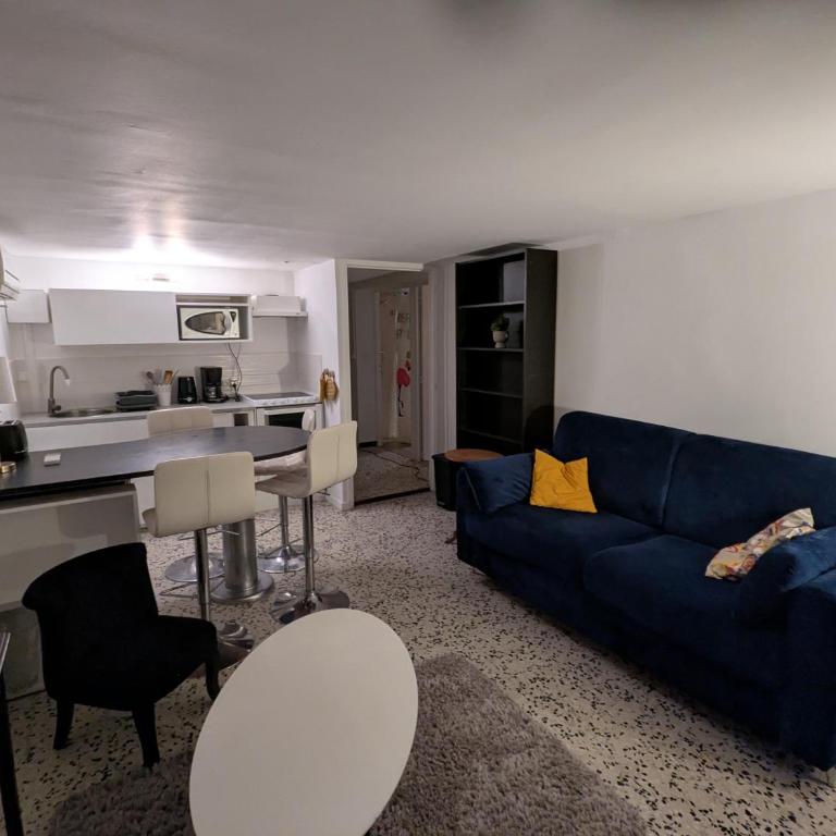 La cigale et la fourmi - Appartement 1 Chambre avec Jardin - 6