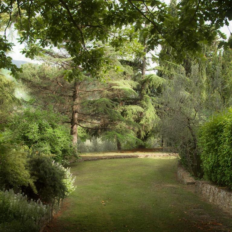 Podere Poggio Mendico - Maisonette - 6