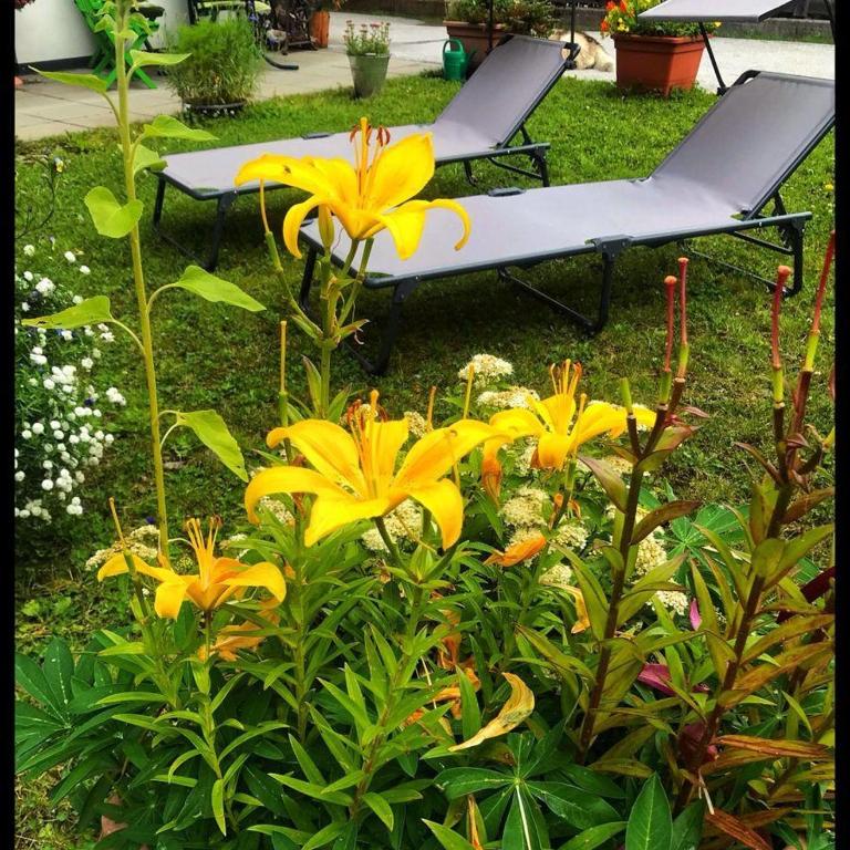 Appartement Berghof "Dettis Place" - Apartment - 25