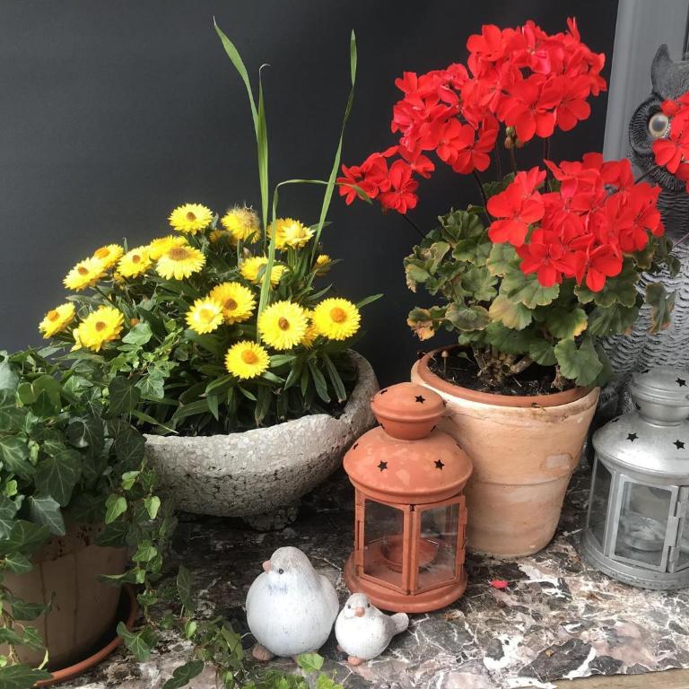 Appartement Berghof "Dettis Place" - Apartment - 27