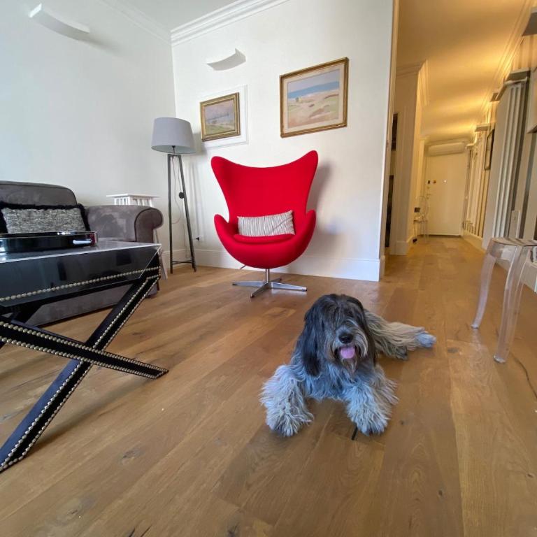 Case di Zenzero - Casa San Vittore - Villa con 2 Camere da Letto - 3