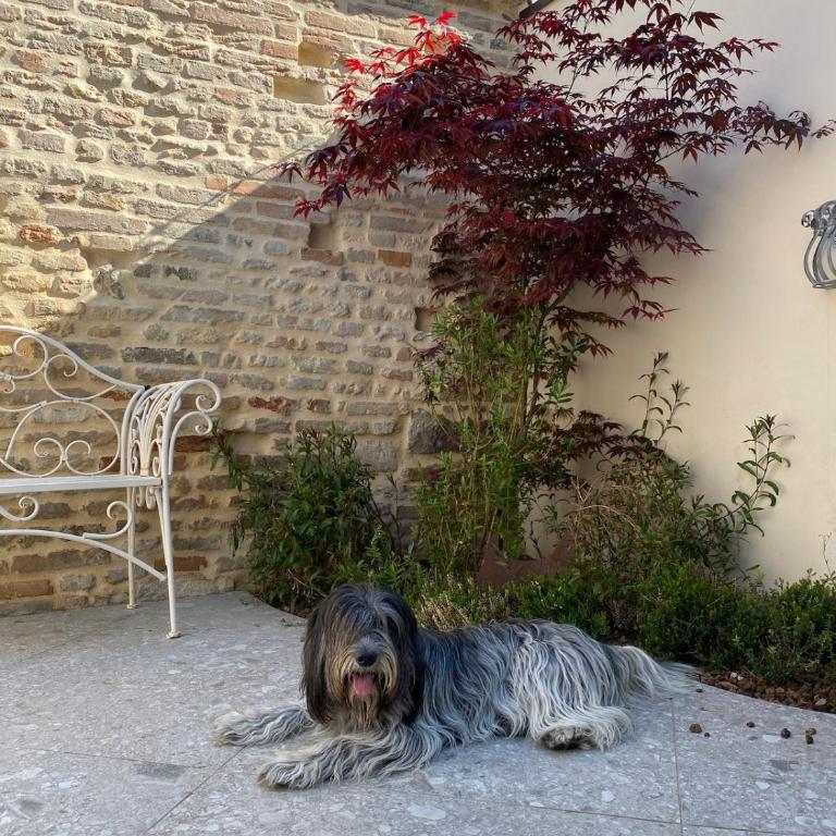 Case di Zenzero - Casa San Vittore - Villa con 2 Camere da Letto - 26