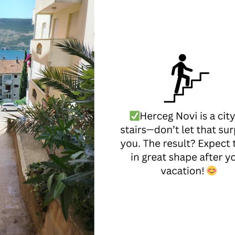 Il Mare Apartment - One-Bedroom Apartment - 14