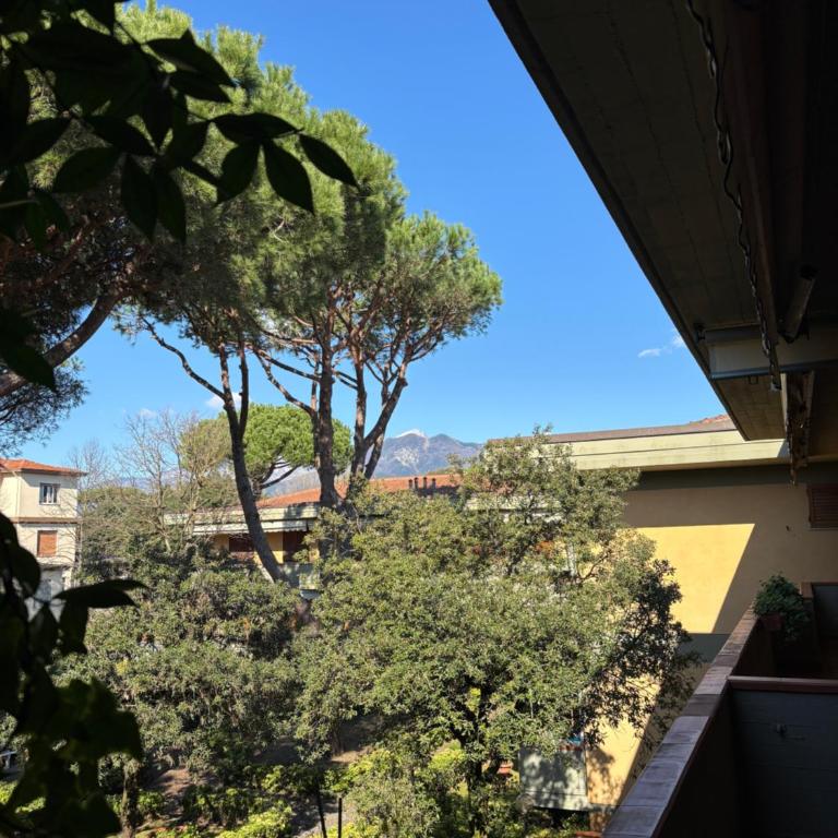 Sea and Mountains Apartment - Apartment mit 2 Schlafzimmern - 6