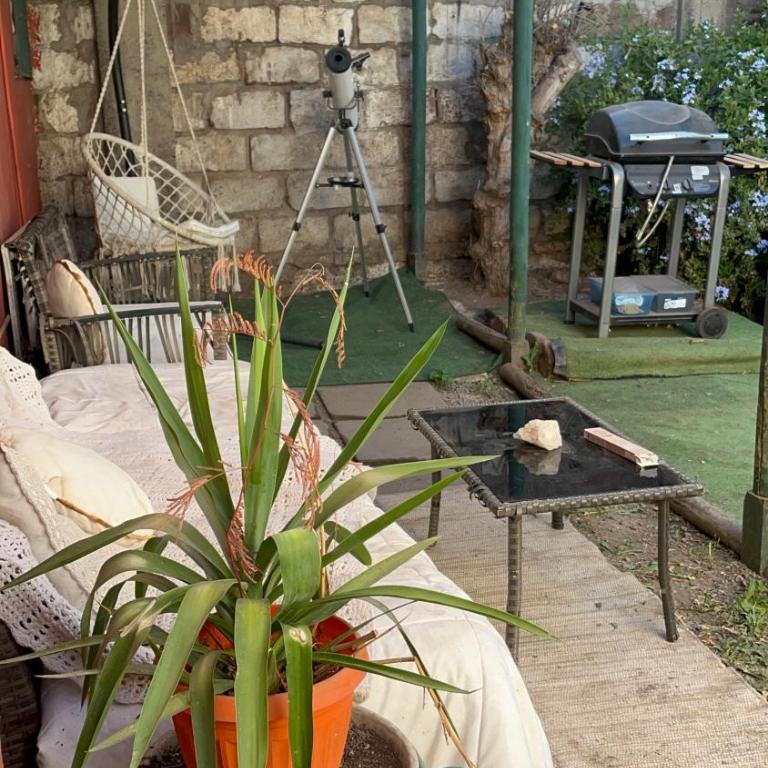 Un trozo de bosque en la ciudad - Apartamento de 1 dormitorio - 3