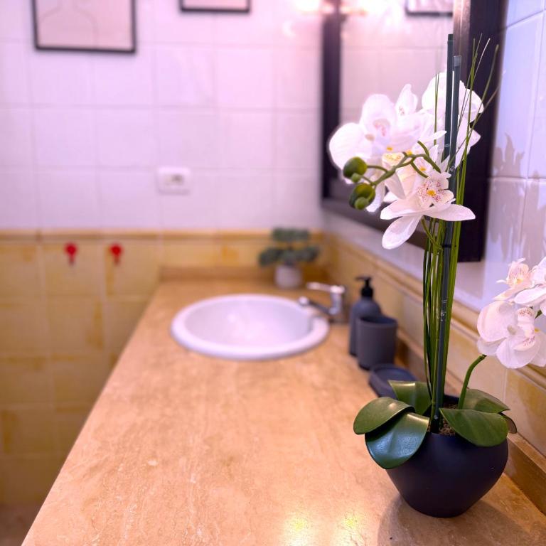 Tropicalidays Jardines del Teide - Apartamento de 1 dormitorio - 34