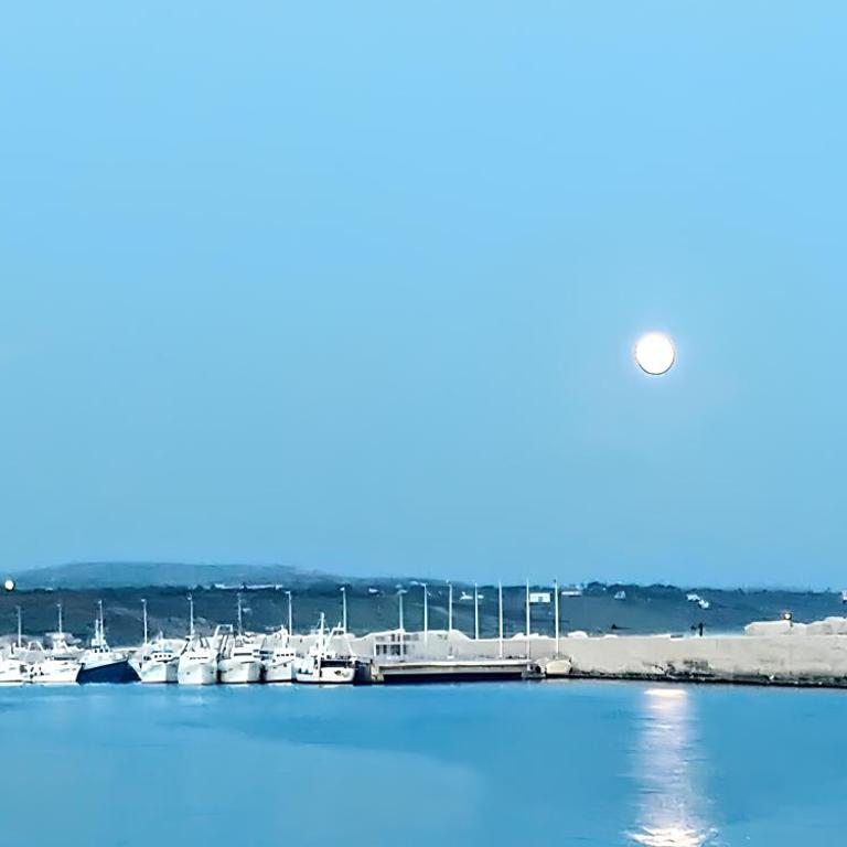 Casa Sunrise - The most secluded terrace at the port - One-Bedroom Apartment - 34