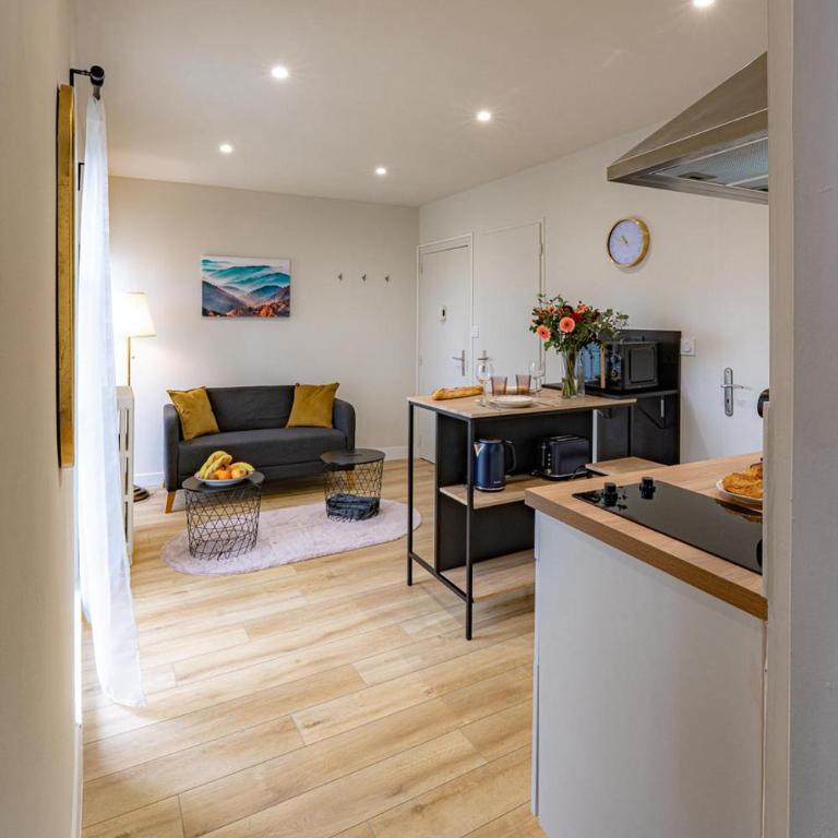 Romantic Suite Bellevue et Parking - One-Bedroom Deluxe Apartment - 33