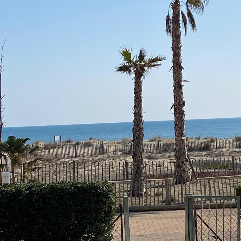 Paradis bleu vue mer, direct plage - Apartment mit 2 Schlafzimmern - 29