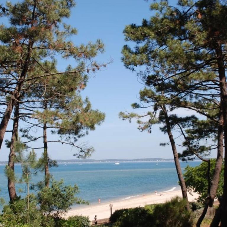 Pyla sur mer appartement terrasse a 100m de la plage - Appartamento con 2 Camere da Letto - 8