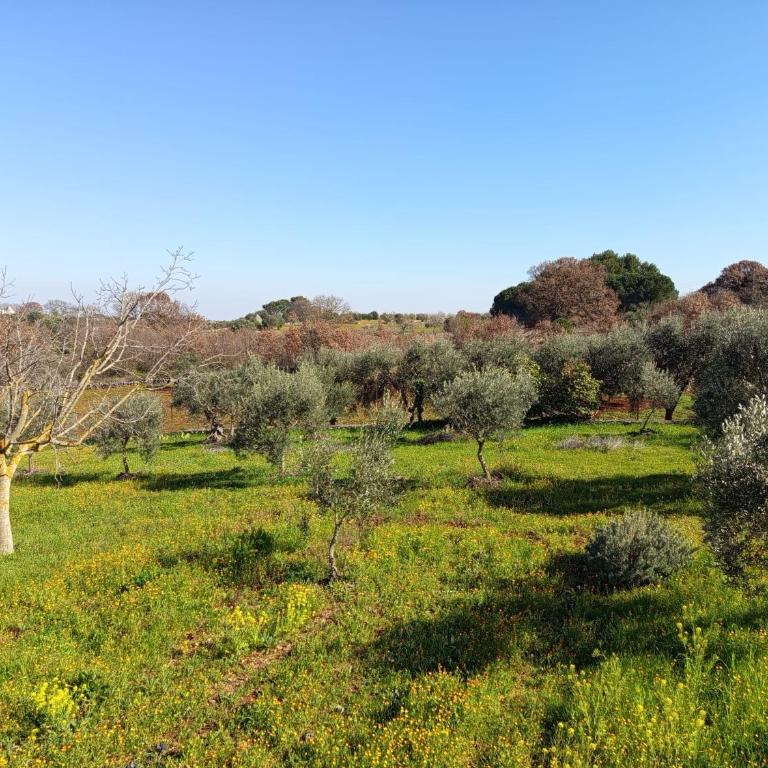 GuestHost- La Casita Apartment with pool - Appartamento con 1 Camera da Letto - 29