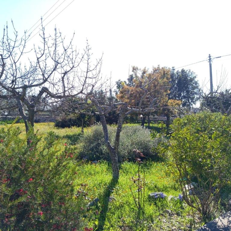 GuestHost- La Casita Apartment with pool - Appartamento con 1 Camera da Letto - 31