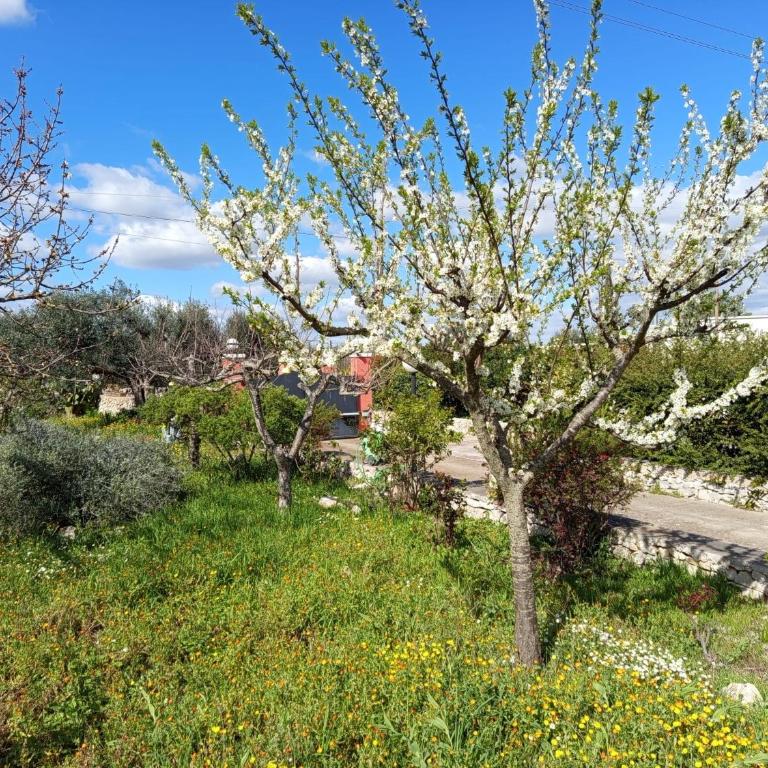 GuestHost- La Casita Apartment with pool - Appartamento con 1 Camera da Letto - 32