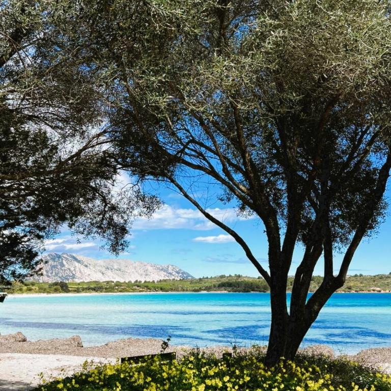 Vacanze a Villa Ortensia - Two-Bedroom House - 73