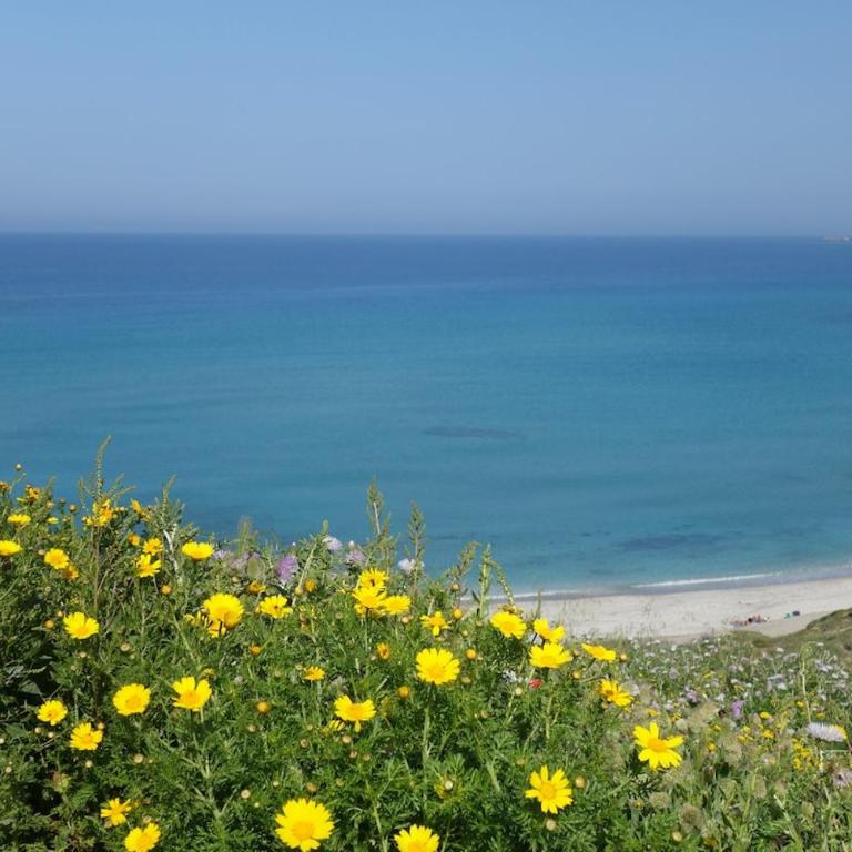 Vacanze a Villa Ortensia - Two-Bedroom House - 51