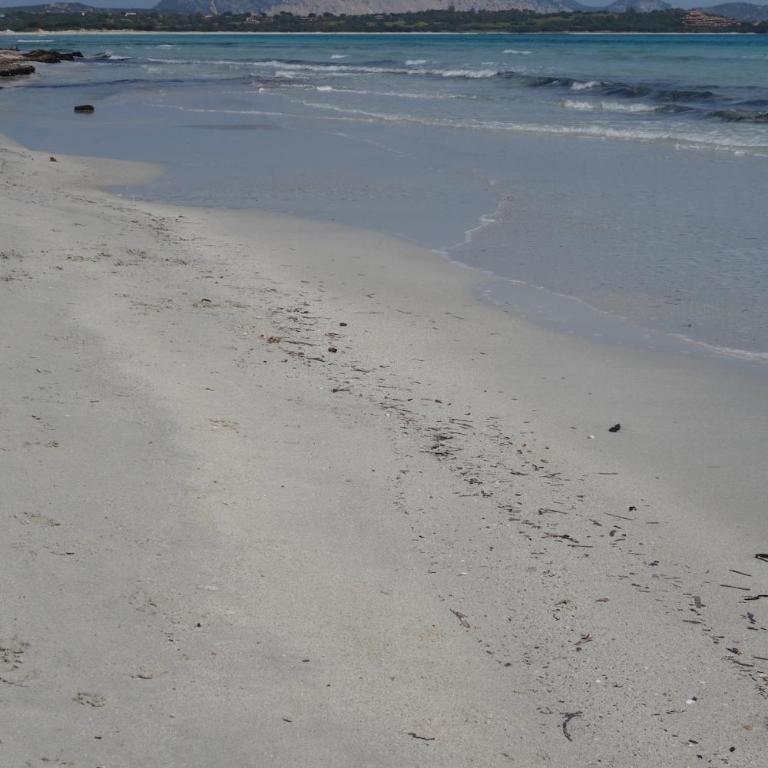 Vacanze a Villa Ortensia - Two-Bedroom House - 57