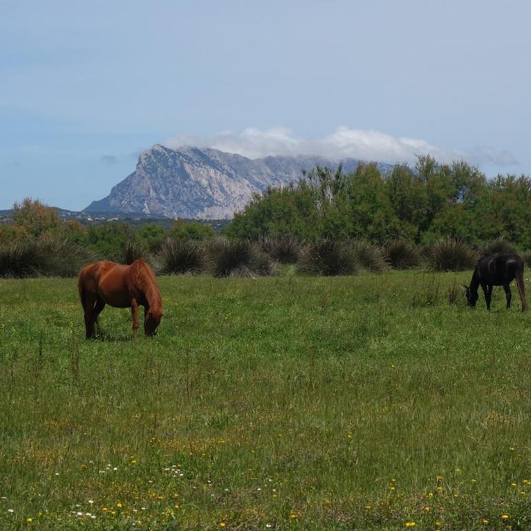 Vacanze a Villa Ortensia - Two-Bedroom House - 60