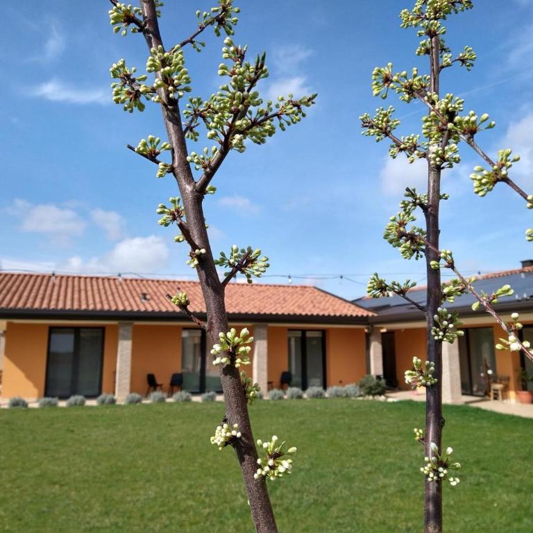 Agriturismo Verdecielo - Camera Matrimoniale con Vista Giardino - 9