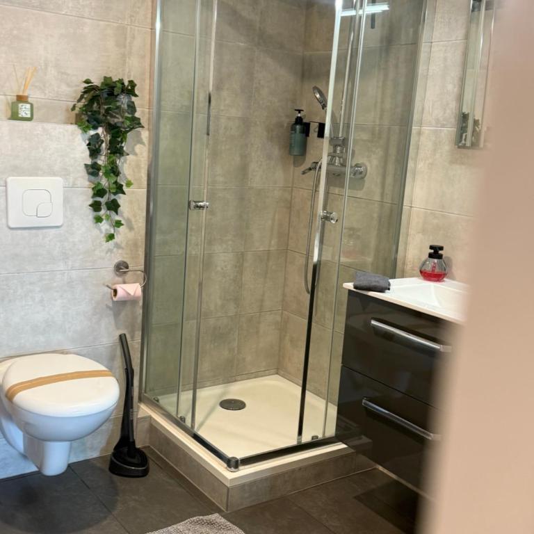 Appartement Strasbourg Centre - Apartamento de 1 dormitorio - 5