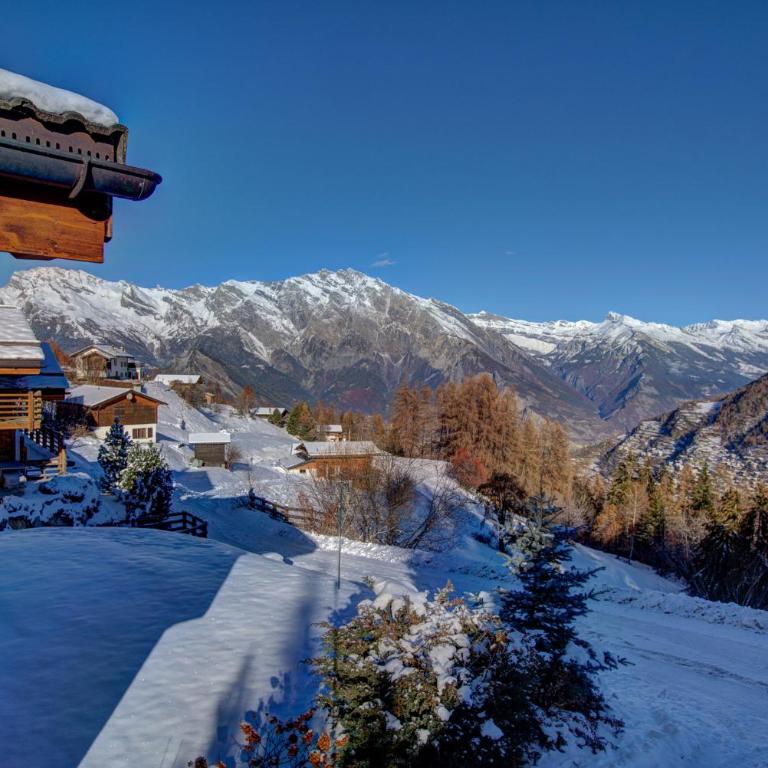 Chalet Orchidee - Chalet - 20