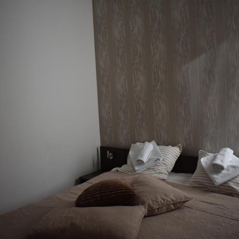 Garni Hotel Lion - Dvokrevetna Soba sa Bračnim Krevetom - 12
