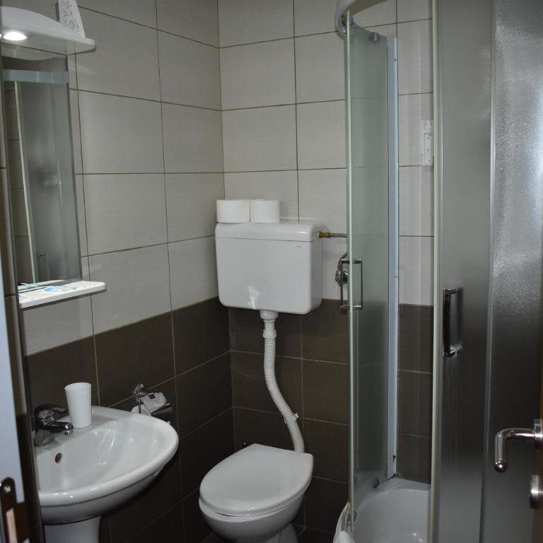 Garni Hotel Lion - Dvokrevetna Soba sa Bračnim Krevetom - 7