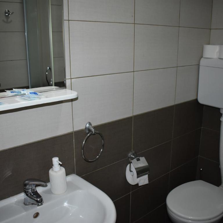 Garni Hotel Lion - Dvokrevetna Soba sa Zasebnim Krevetima - 10
