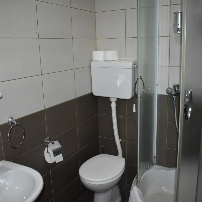 Garni Hotel Lion - Dvokrevetna Soba sa Zasebnim Krevetima - 18