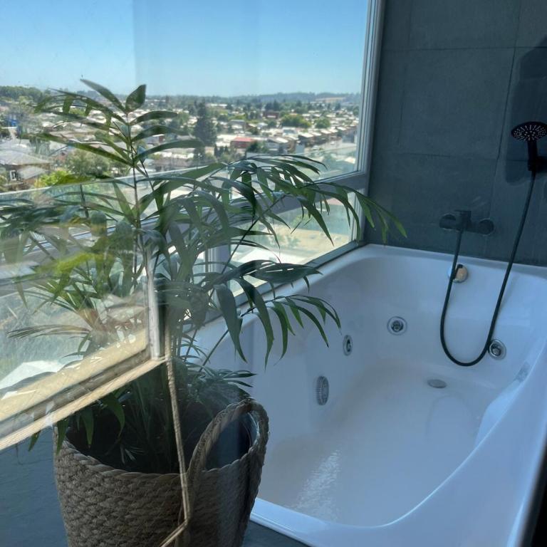 Temuco Depto estudio a pasos Av Alemania y centro comerciales - Apartamento de 1 dormitorio - 4