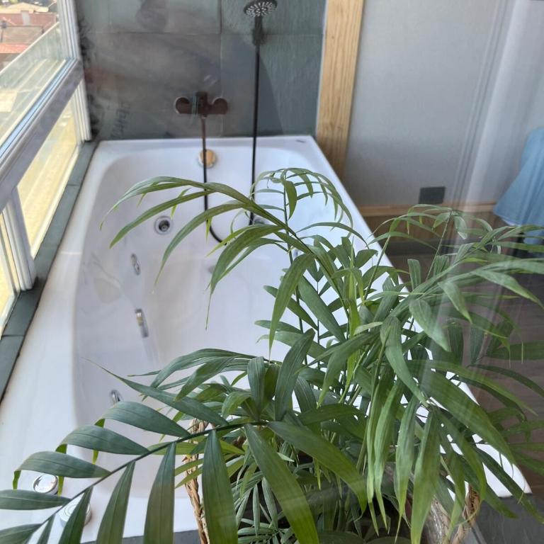 Temuco Depto estudio a pasos Av Alemania y centro comerciales - Apartamento de 1 dormitorio - 7