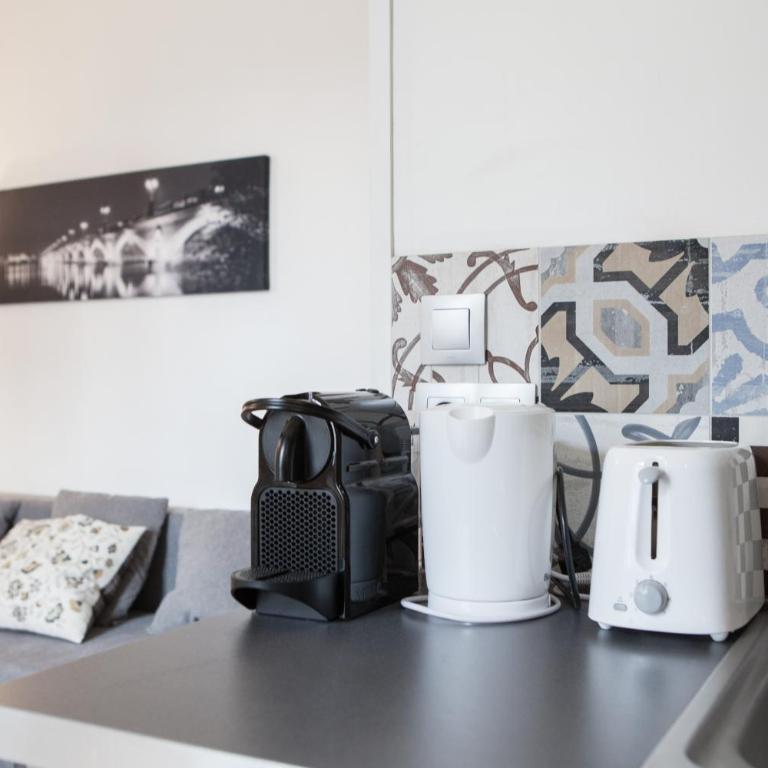 Augustins -Petit cocon calme et lumineux avec parking - Appartement 1 Chambre - 14