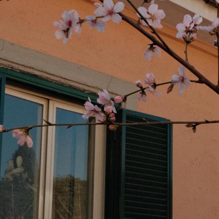 Antico Gelso Roma - Casa con 2 Camere da Letto - 6