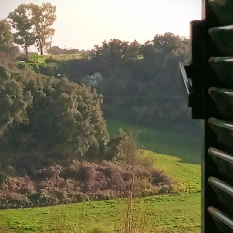 Antico Gelso Roma - Casa con 2 Camere da Letto - 15