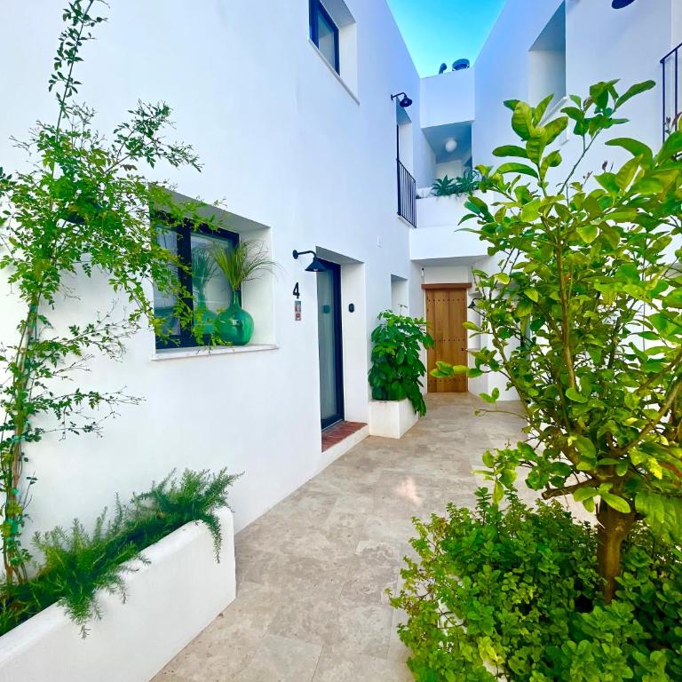 MIMARE Dénia - Apartment - Ground Floor - 27