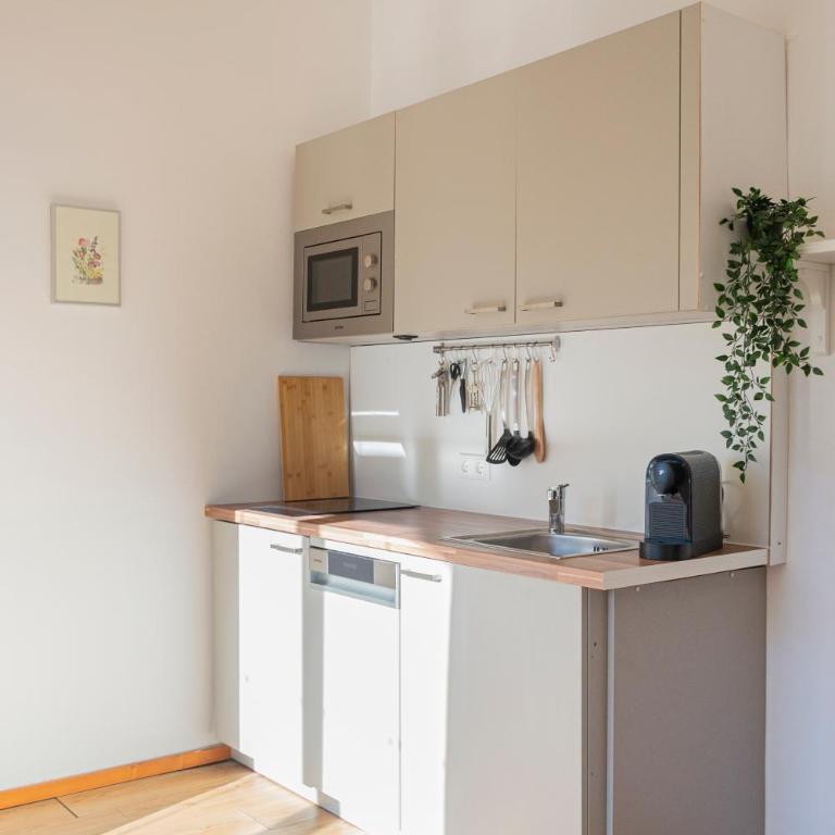 Marktlhaus Goldegg - Apartment mit 1 Schlafzimmer, Balkon und Bergblick - 4