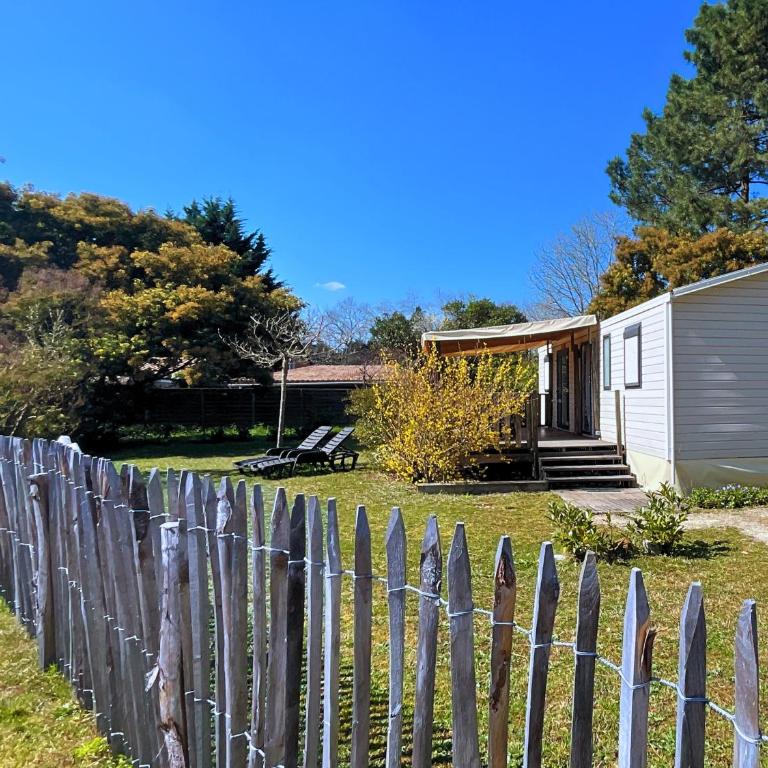 Le Ti Buch Mobilhome en Camping 4 étoiles avec Terrasse Plancha et Climatisation - Mobile Home - 11