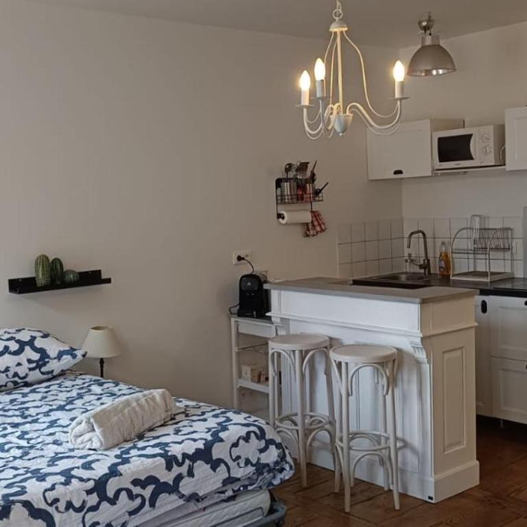 La Suite Sinatle Rennes Hyper Centre - 2 personnes - Appartement 1 Chambre - 6