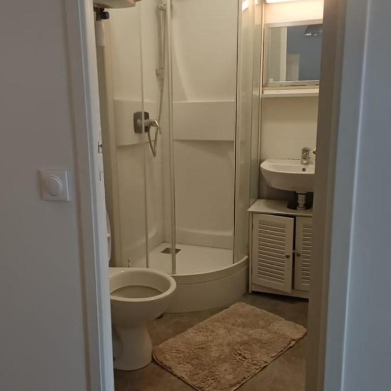 La Suite Sinatle Rennes Hyper Centre - 2 personnes - Appartement 1 Chambre - 12