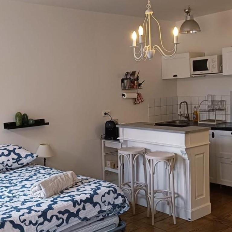La Suite Sinatle Rennes Hyper Centre - 2 personnes - Appartement 1 Chambre - 11