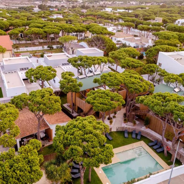Apartamentos Biopasivos Living Pura Madera - Villa de 2 dormitorios con jardín - 25