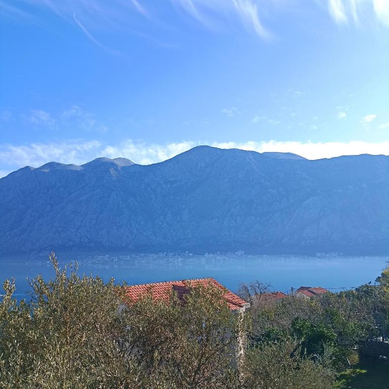 Amazing BayView Apartment Kotor - One-Bedroom Apartment - 19