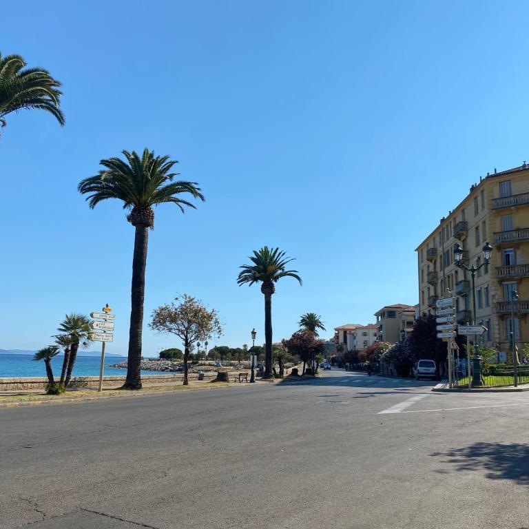 2 pièces Place Miot, côté cours - Appartement 1 Chambre - 10