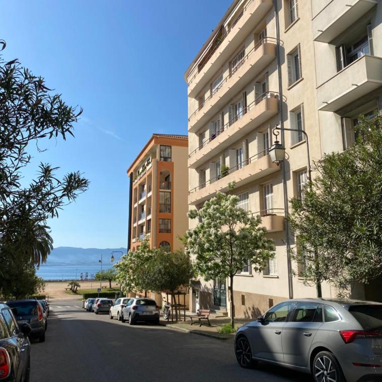 2 pièces Place Miot, côté cours - Appartement 1 Chambre - 11